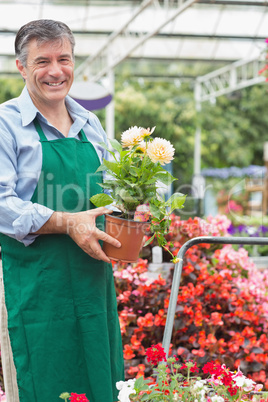 Gardener holding a plant