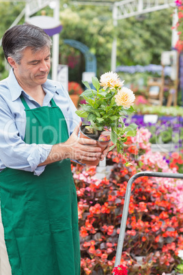 Florist holding a white flower