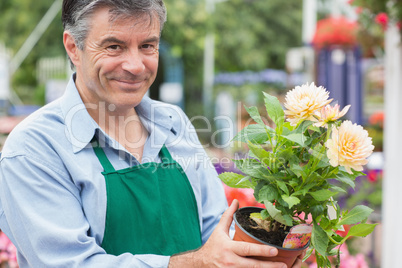 Male florist holding a flower