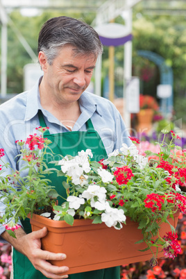 Gardener holding boxes of plants