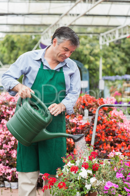 Gardener watering plants