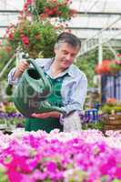 Smiling man watering flowers