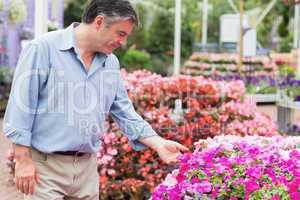 Man touching a flower