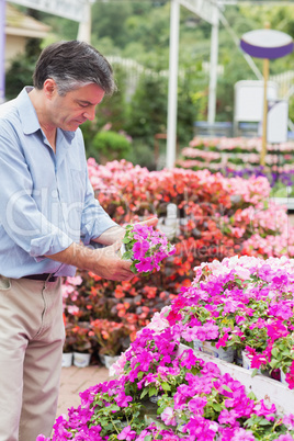 Man taking a flower