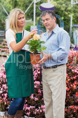 Florist explaining something to man