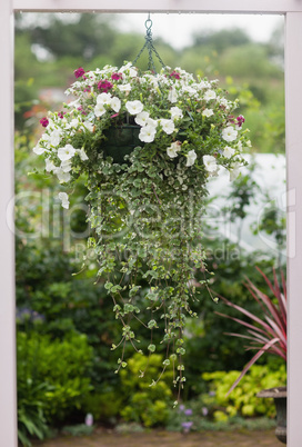 Hanging flower pot