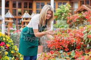 Gardener caring about flowers