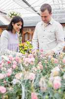 Couple choosing flowers