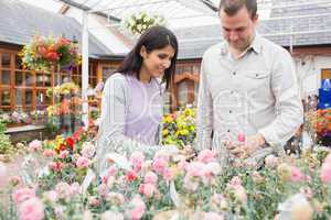 Customers choosing flowers