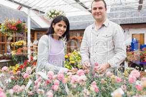 Happy couple choosing plants