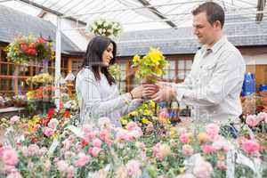 Couple holding up yellow flower