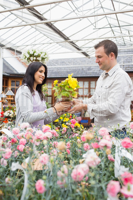 Happy couple holding up yellow flower