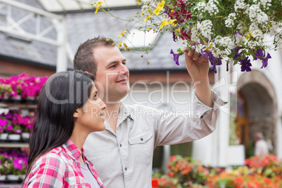 Couple looking at hanging basket