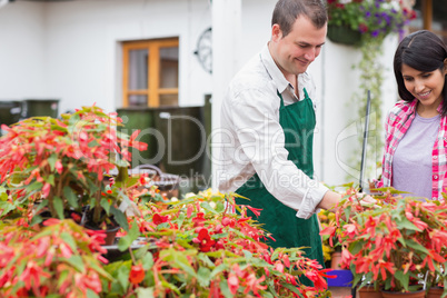 Customer and garden center worker discussing plants