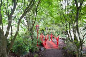 Red Japanese style bridge in forest