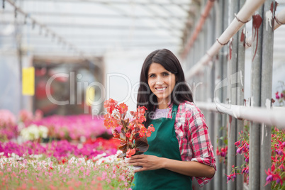 Woman holding a flower working in a greenhouse
