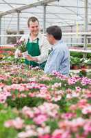 Worker showing customer a flower in greenhouse