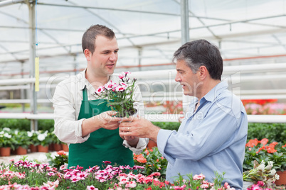 Man and employee discussing potted plant in greenhouse
