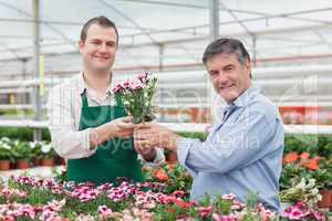 Employee giving potted plant to customer in greenhouse