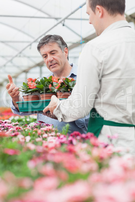 Employee holding a box of flowers as customer is looking at them