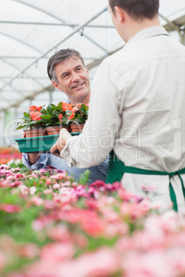 Man holding boxes of plant looking at employee