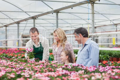 Family choosing a flower with employee in garden center
