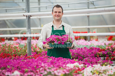 Man holding array of flowers in greenhouse
