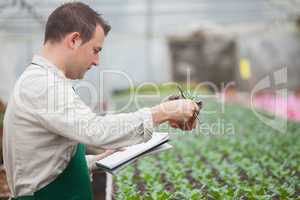 Man standing in greenhouse and taking notes