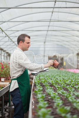 Man taking notes on seedlings in nursery