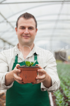 Cheerful gardener holding a plant