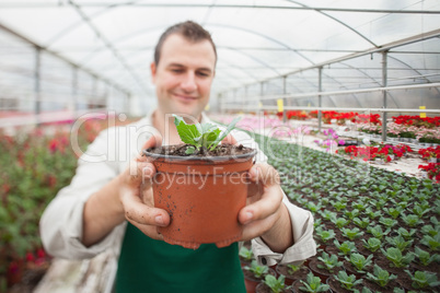 Cheerful man holding a potted plant