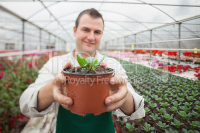 Man holding a potted plant up