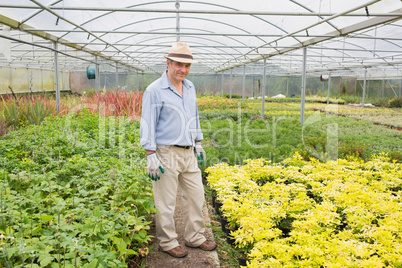 Man standing in greenhouse