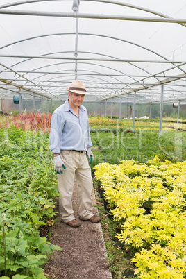 Smiling man standing in greenhouse