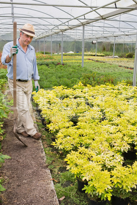 Gardener holding a spade