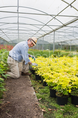 Gardener smiling while tending to plants