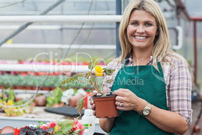 Blonde garden center worker holding flower pot