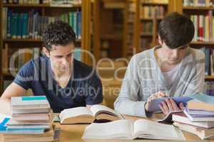 Men studying in library