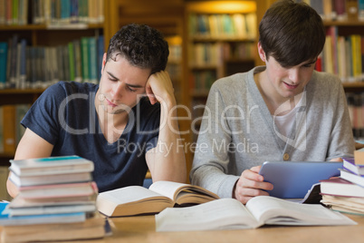 Students studying in the library Students studying in the library