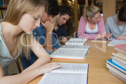 Students studying as a group