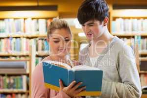 Couple standing looking at a book