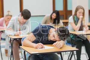 Man sleeping in exam hall