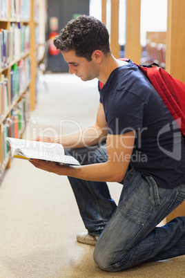 Student kneeling by bookshelf looking at book