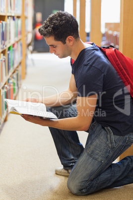 Student kneeling by bookshelf looking at book Student kneeling by bookshelf looking at book