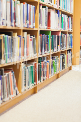 Bookshelf at the library