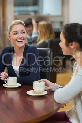 Women sitting at the coffee shop chatting