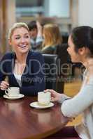 Women sitting at the coffee shop chatting