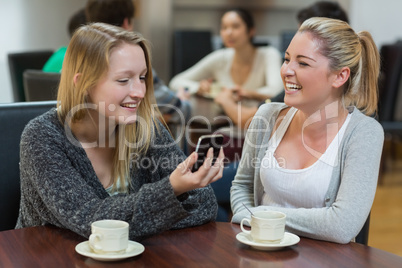 Women sitting at the coffee shop looking at the smartphone