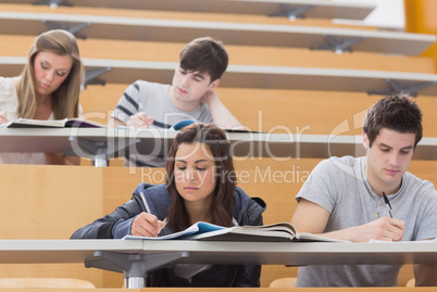 Students sitting at desks in lecture hall