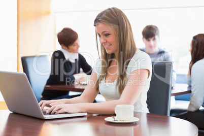 Woman sitting at the coffee shop using laptop